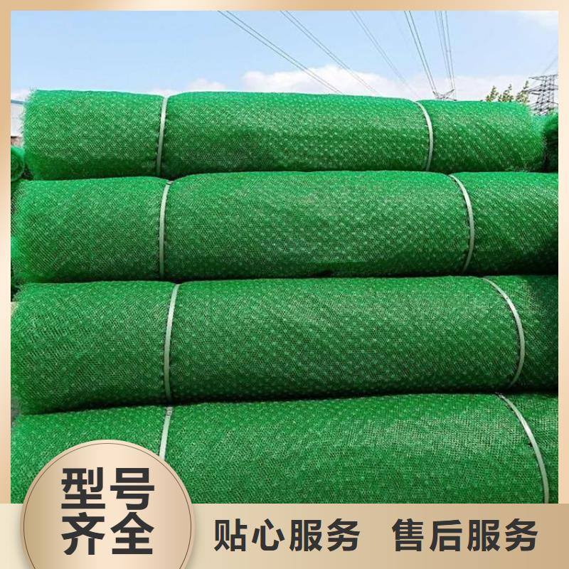 三维植被网防渗膜注重细节