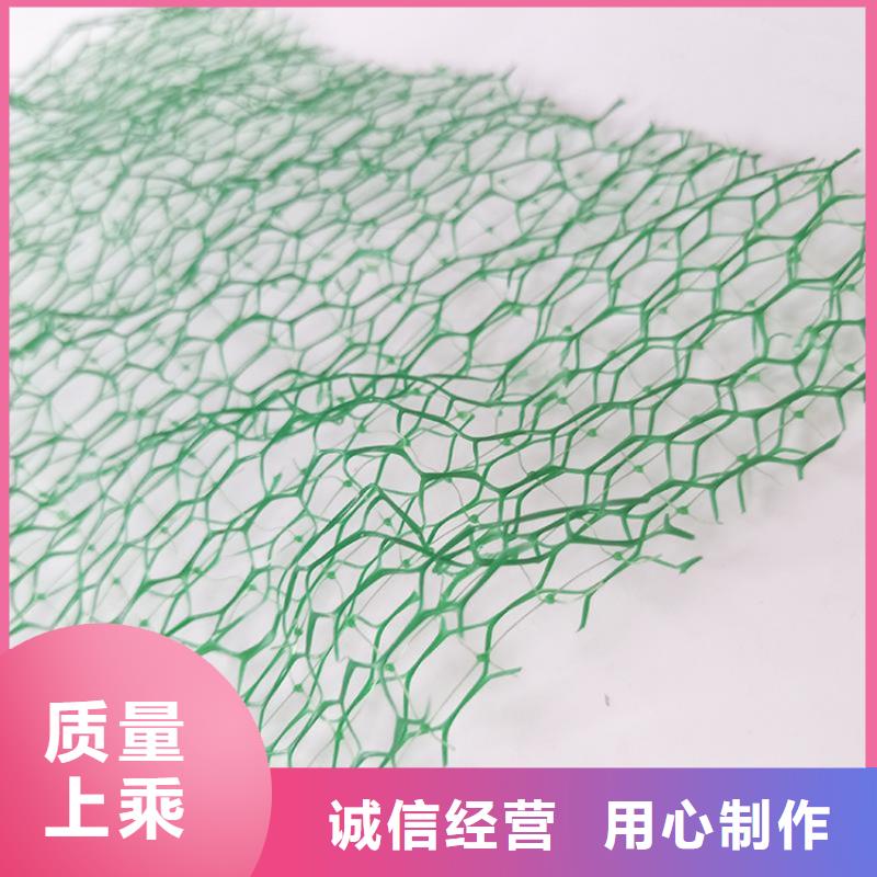 三维植被网软式透水管实力才是硬道理