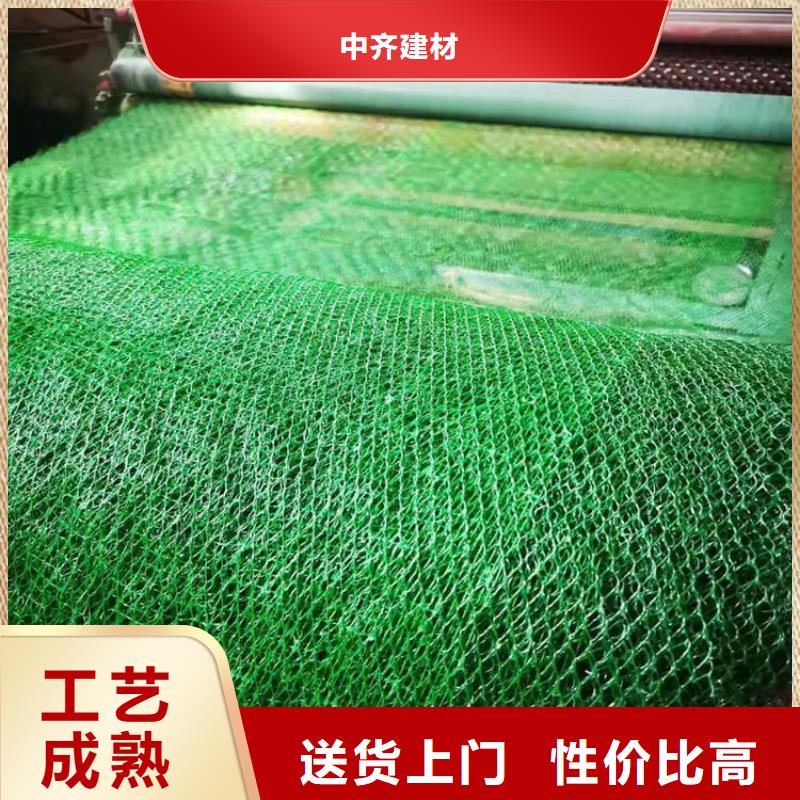 三维植被网玻璃纤维土工格栅支持定制