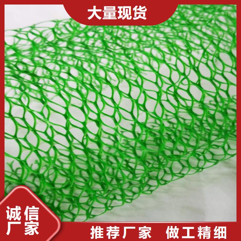 【 三维植被网,防渗膜服务至上】本地品牌