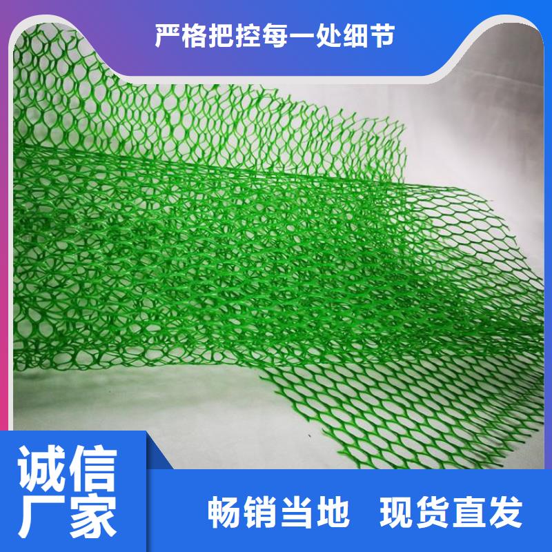 三维植被网防渗膜注重细节