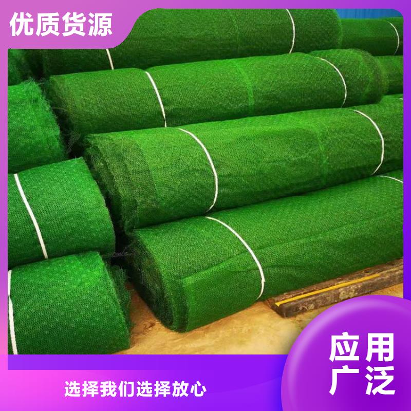三维植被网防渗膜注重细节