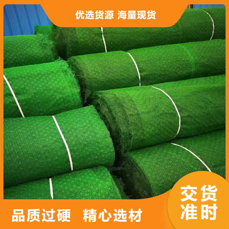 【 三维植被网,防渗膜服务至上】本地品牌