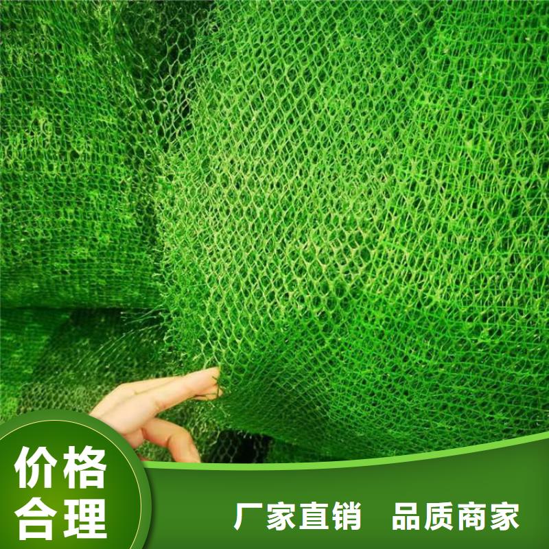 三维植被网软式透水管实力才是硬道理