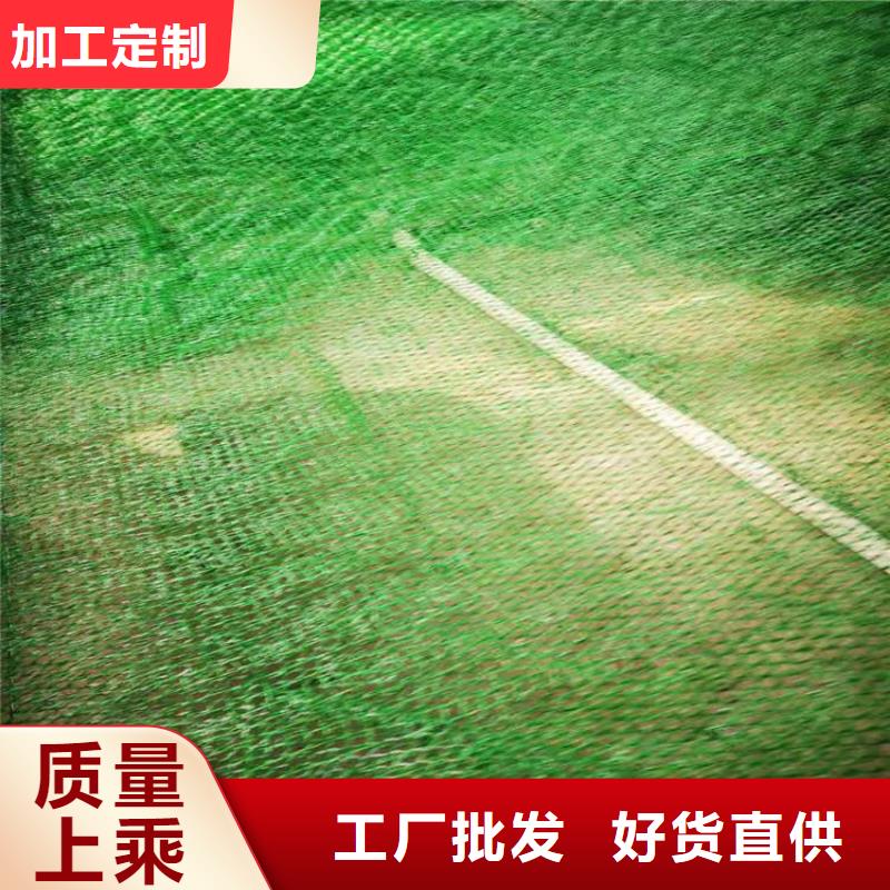 三维植被网防渗膜注重细节