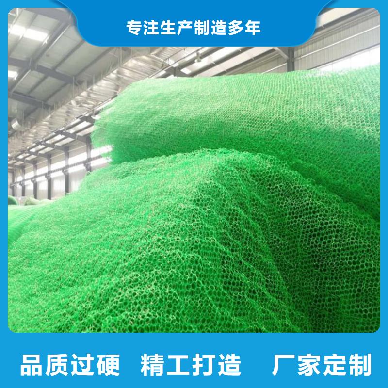 三维植被网玻璃纤维土工格栅支持定制