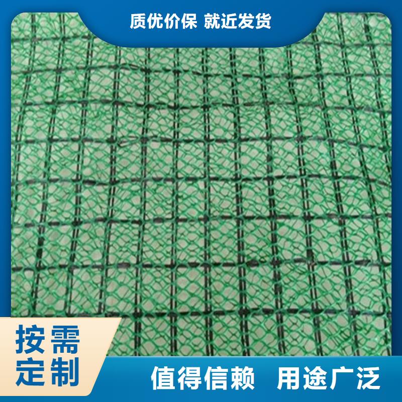 【三维植被网】 复合膜实力优品-中齐建材(东莞市分公司)