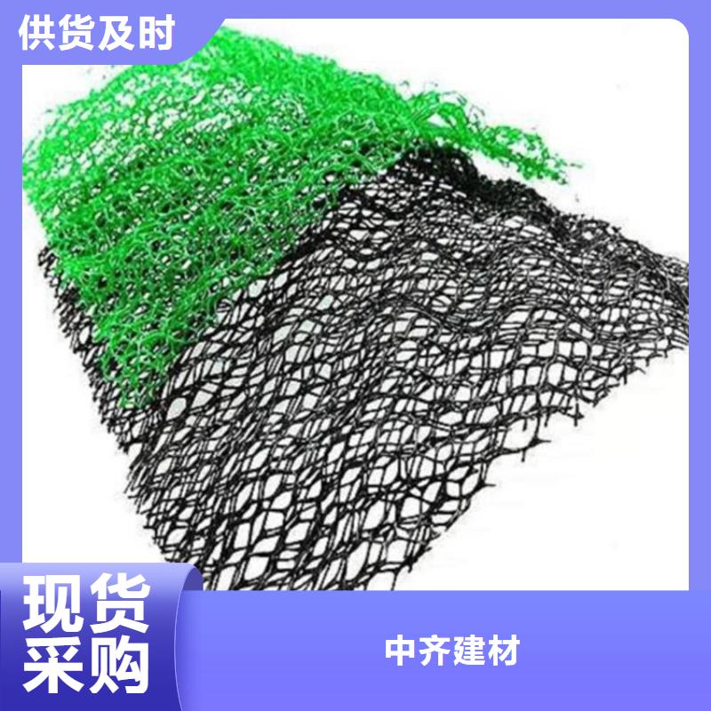 三维植被网土工格栅一对一为您服务