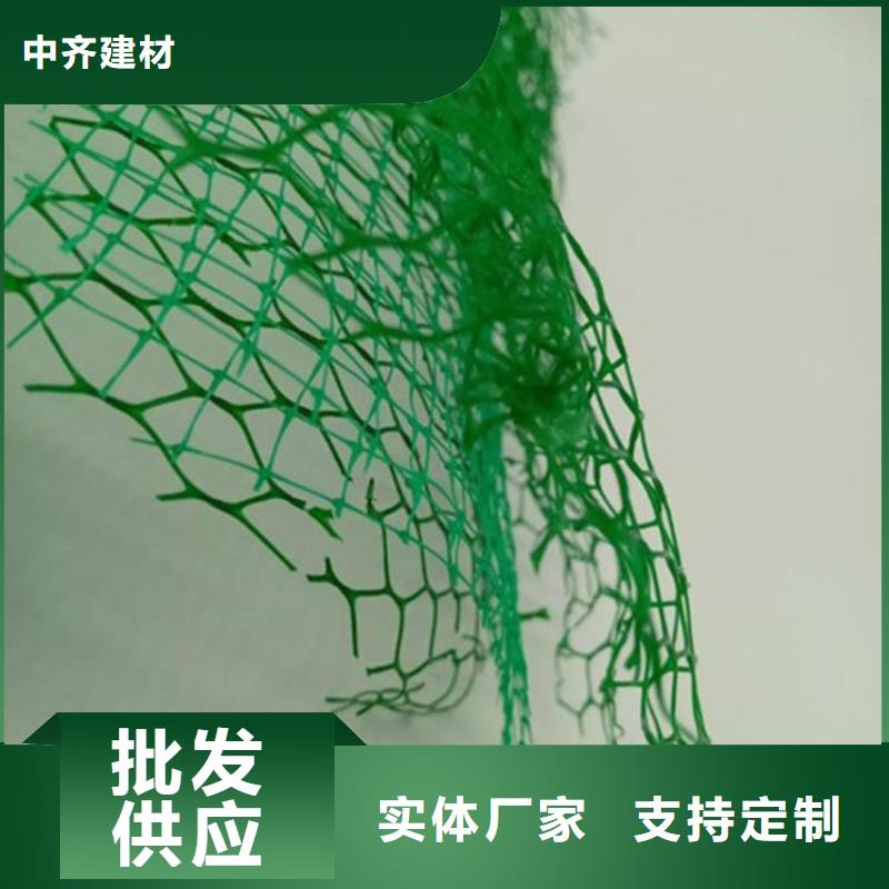 三维植被网_【防裂贴】价格实惠