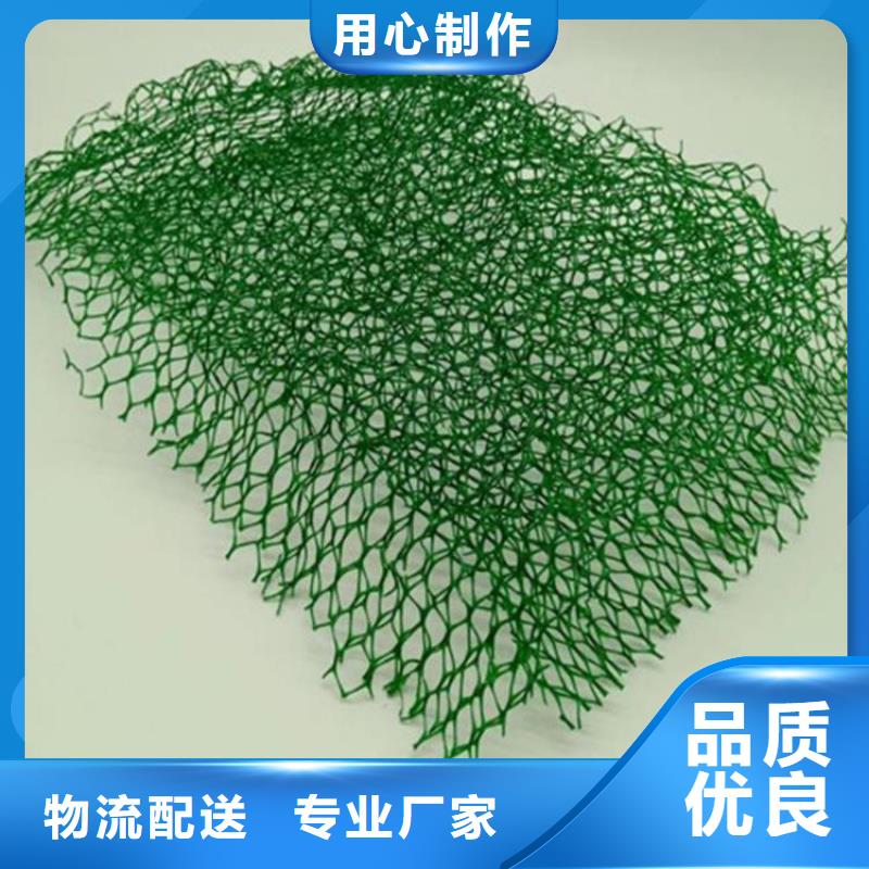 【 三维植被网,防渗膜服务至上】本地品牌