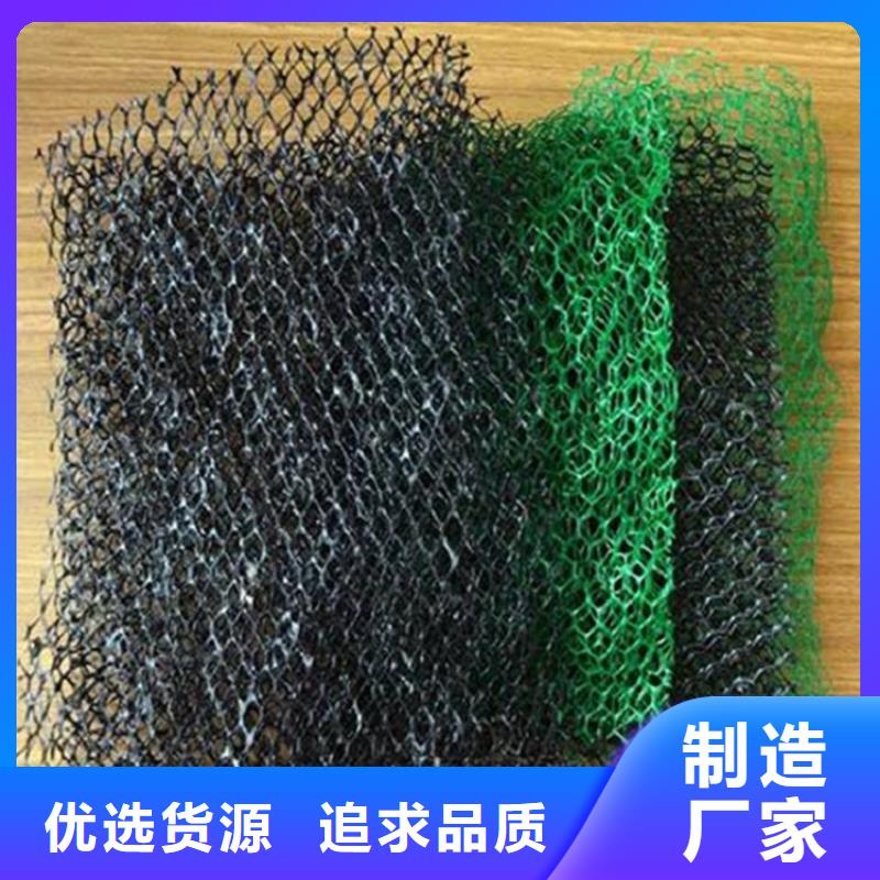 三维植被网_【防裂贴】价格实惠