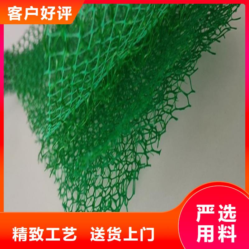三维植被网_土工格栅快速物流发货