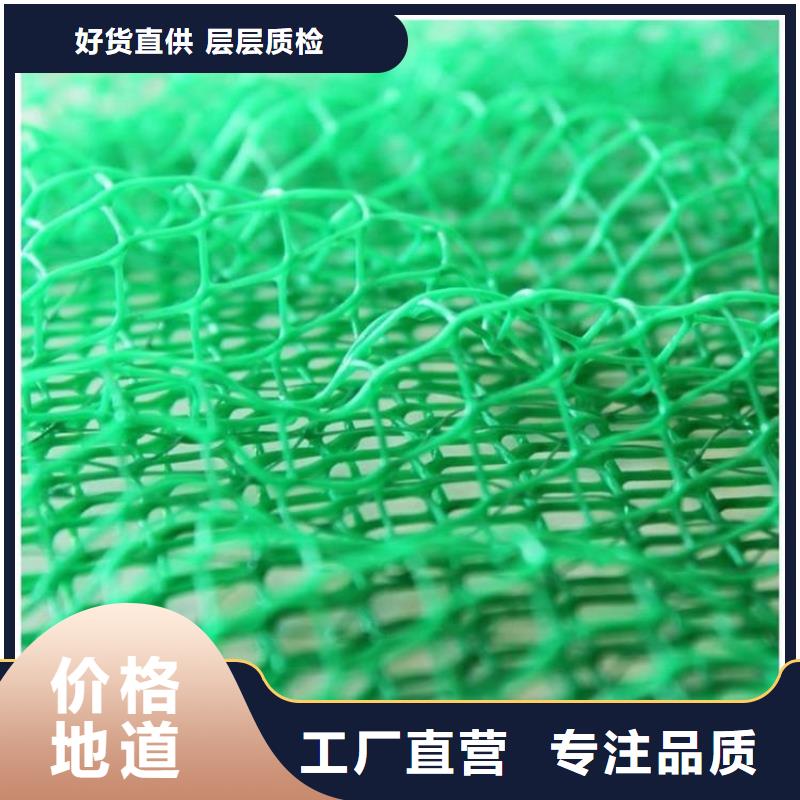 三维植被网【防裂贴】选择我们选择放心