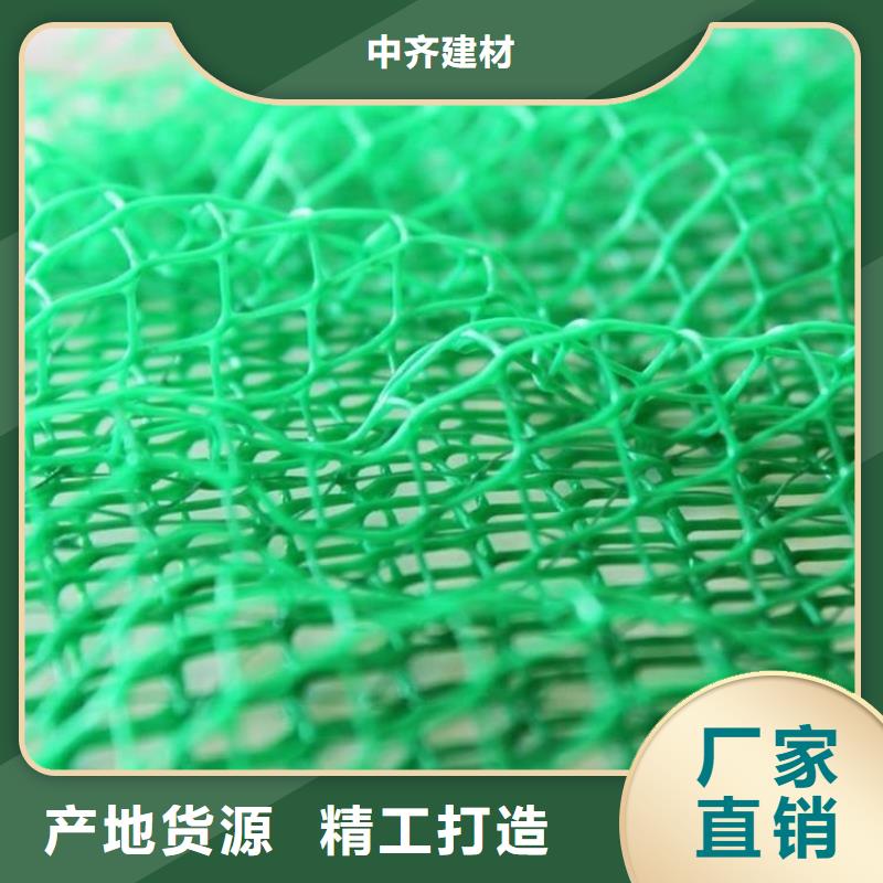 三维植被网-【土工布】随心所欲定制