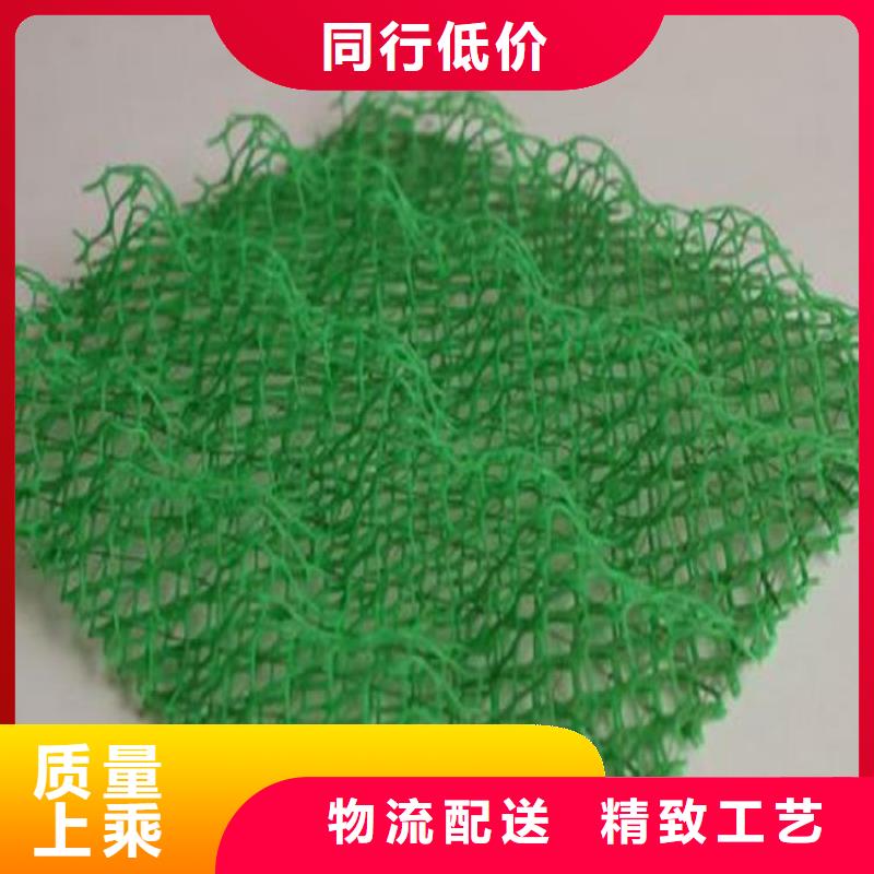 三维植被网防渗膜注重细节