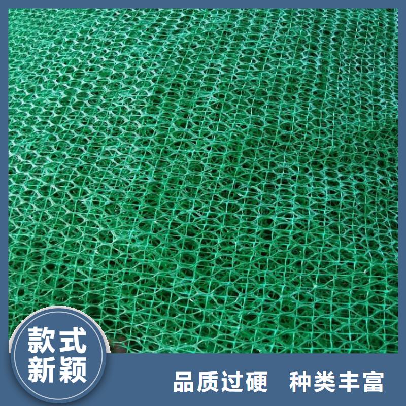 三维植被网-【土工布】随心所欲定制