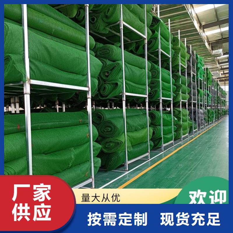 【三维植被网】 复合膜实力优品-中齐建材(东莞市分公司)