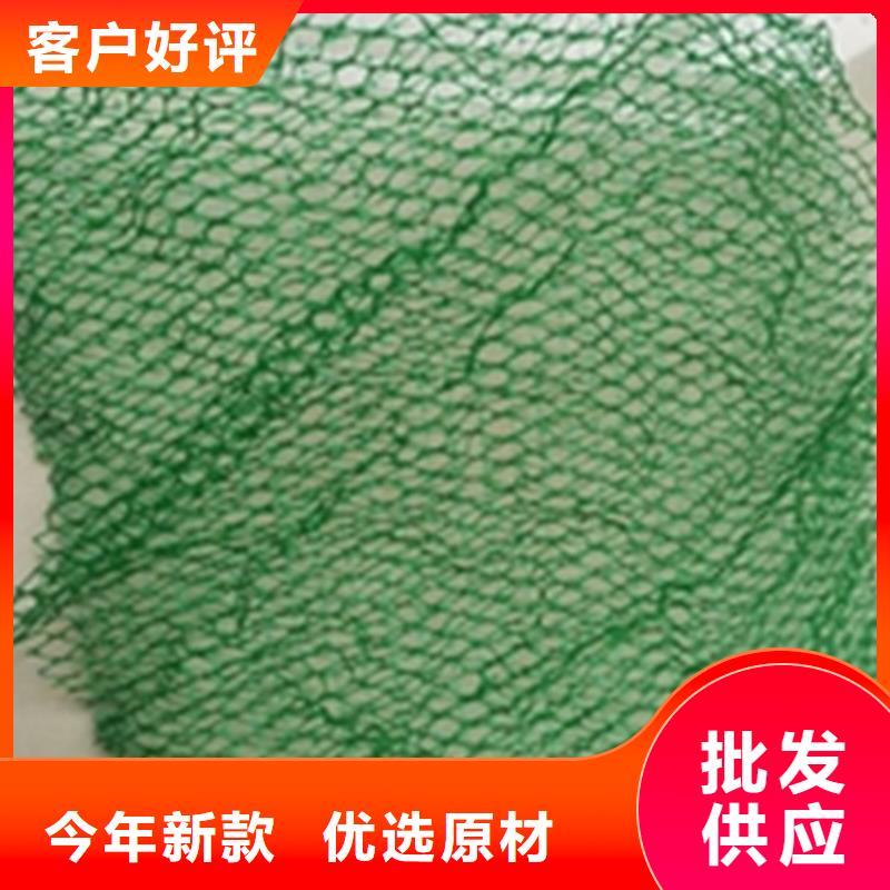 三维植被网_【防裂贴】价格实惠