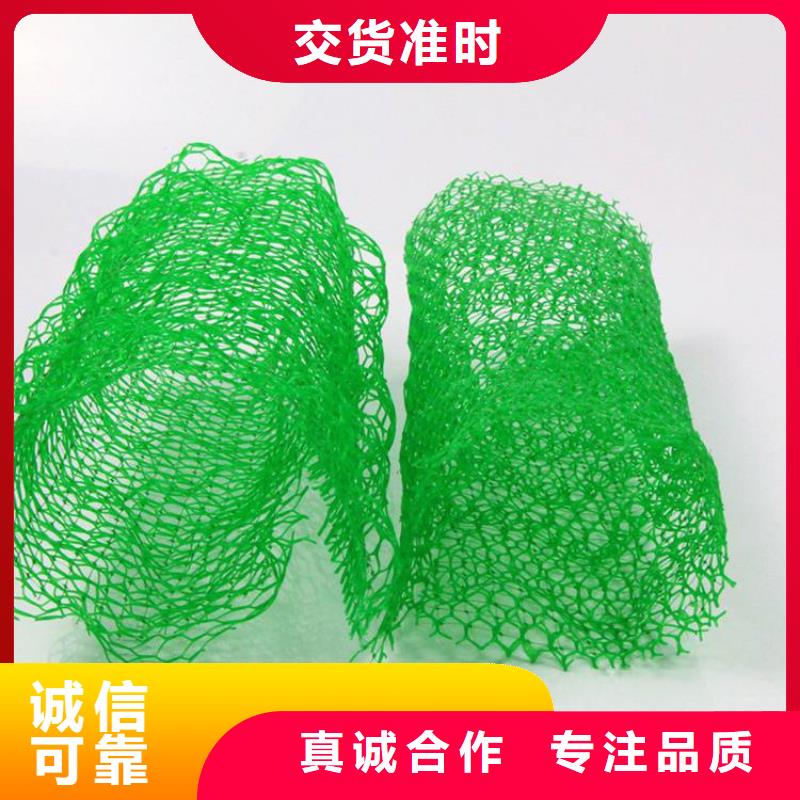 中齐三维植被网 【土工膜】买的放心-阿奇乐乐