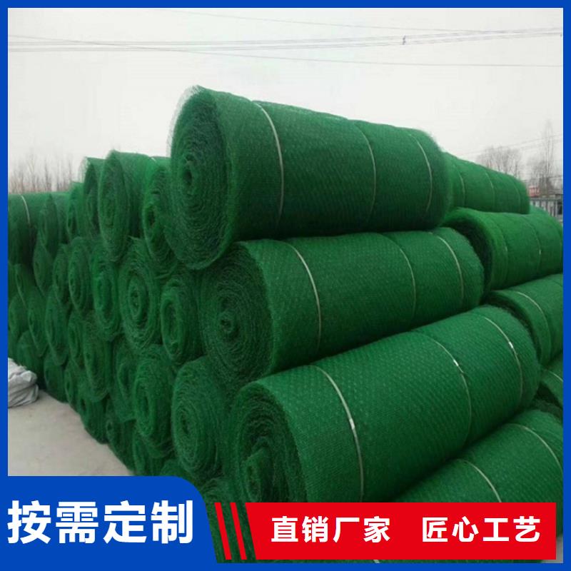 三维植被网软式透水管实力才是硬道理