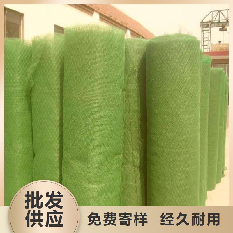 【 三维植被网,防渗膜服务至上】本地品牌