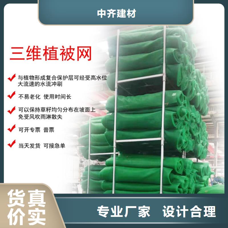 三维植被网_土工格栅快速物流发货