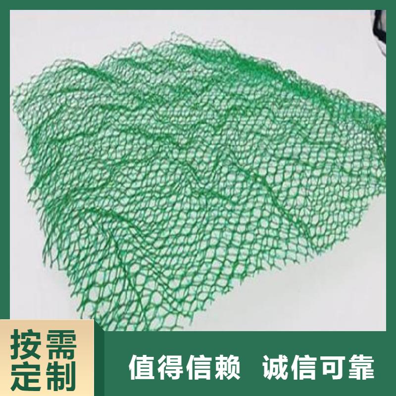 三维植被网聚酯布国标检测放心购买