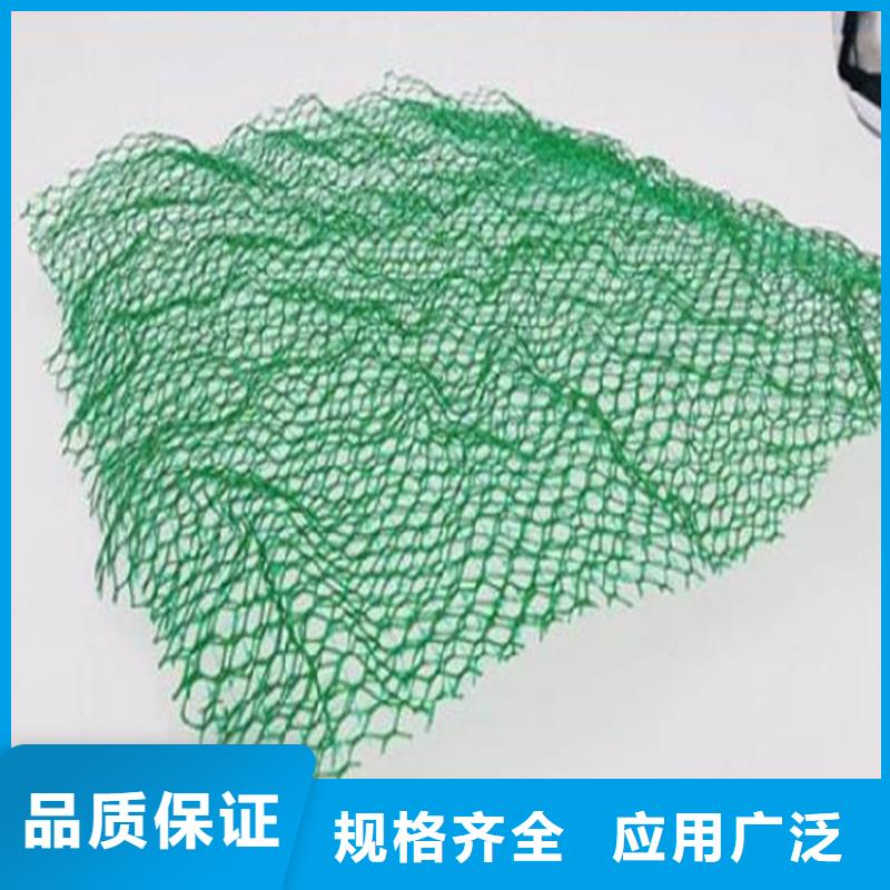三维植被网土工格栅一对一为您服务
