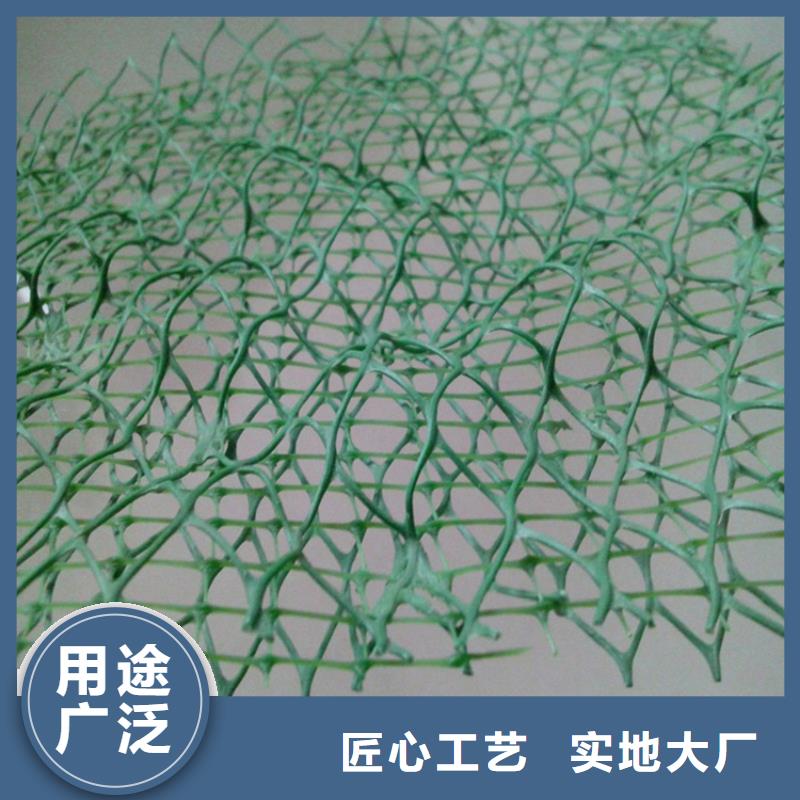 【 三维植被网,防渗膜服务至上】本地品牌