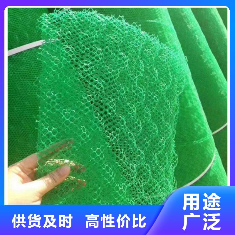 三维植被网土工格栅细节展示