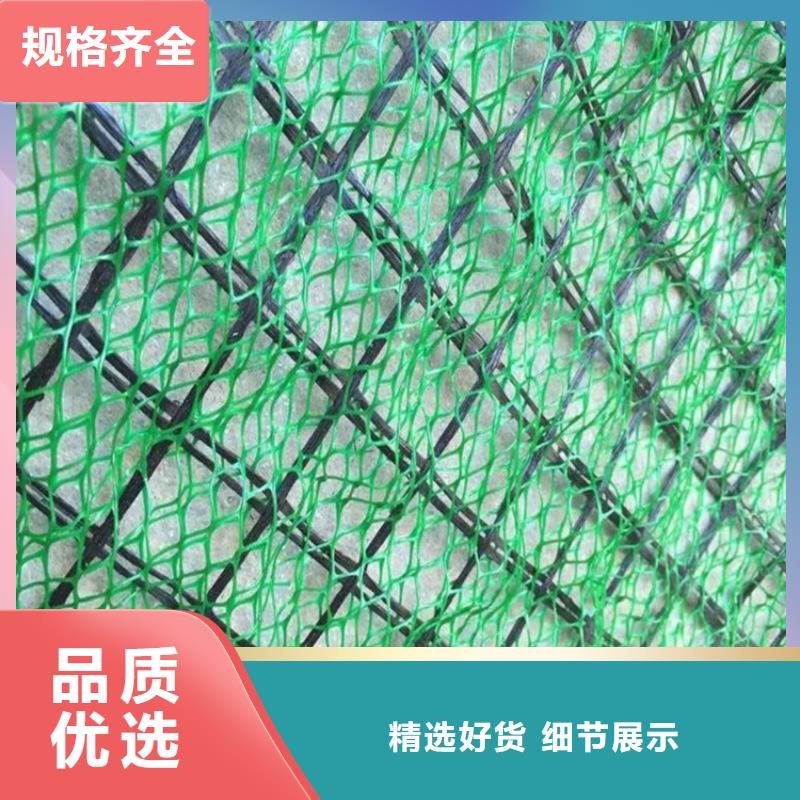 中齐三维植被网 【土工膜】买的放心-阿奇乐乐
