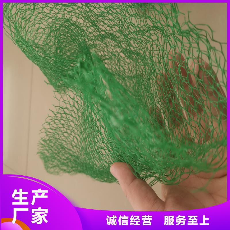 【三维植被网】 复合膜实力优品-中齐建材(东莞市分公司)