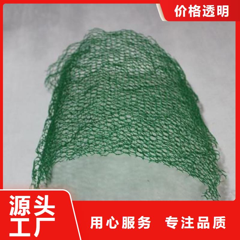 三维植被网软式透水管实力才是硬道理