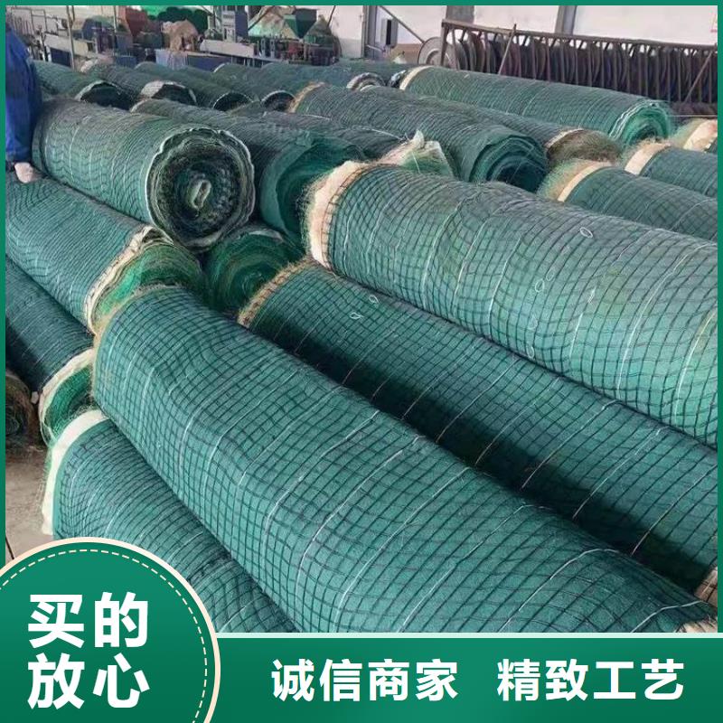 【椰丝毯】 玻纤土工格栅欢迎来电询价由中齐为您