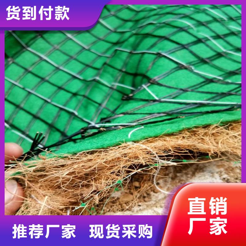 【椰丝毯土工格栅细节展示】