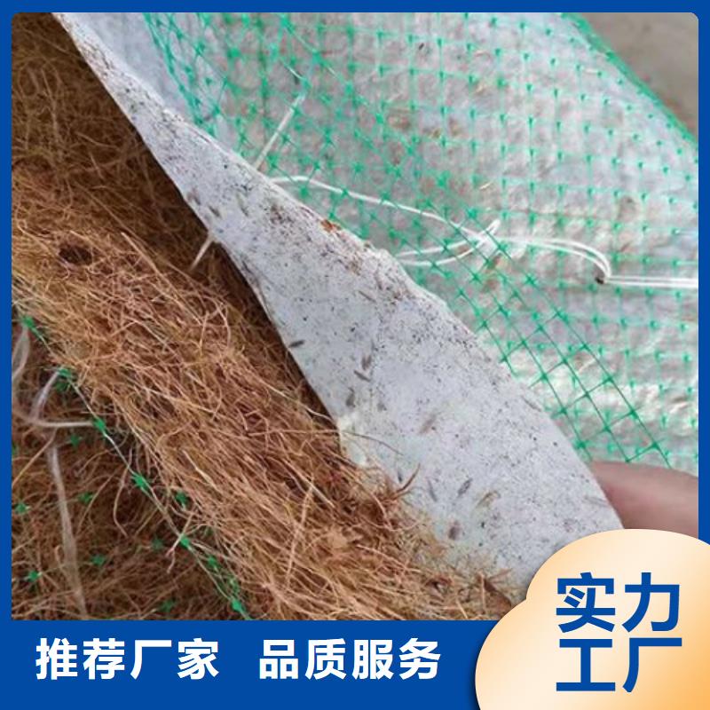 椰丝毯-三维植被网优选厂商