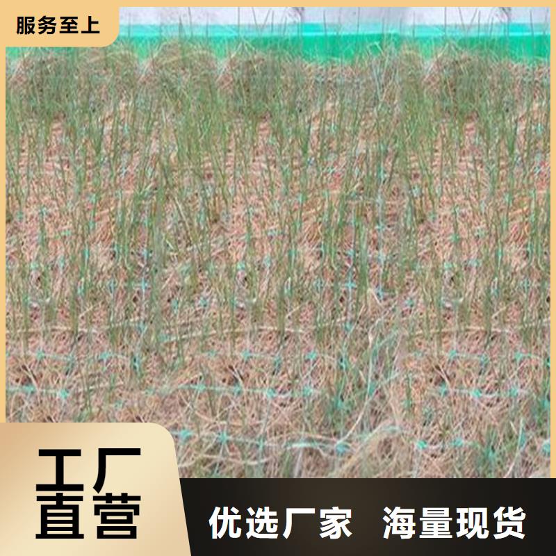 椰丝毯双向土工格栅值得买