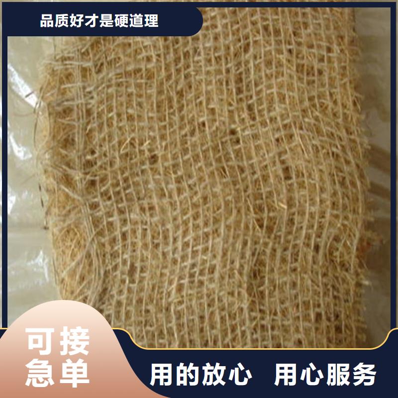 椰丝毯-蓄水板源厂供货