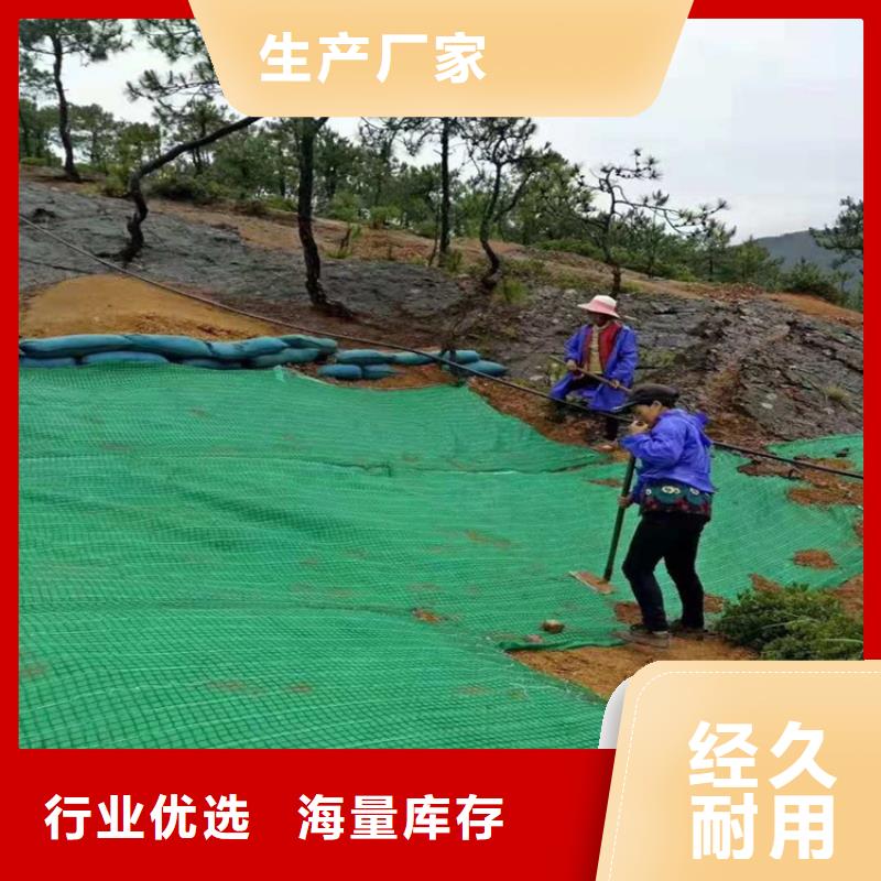 椰丝毯波纹管品质商家