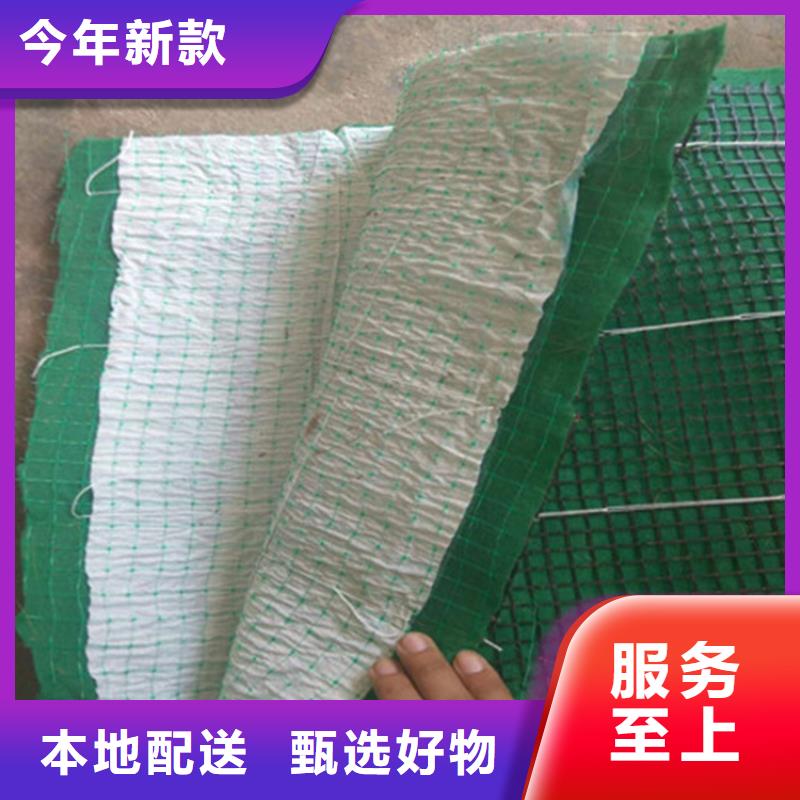 椰丝毯双向土工格栅值得买