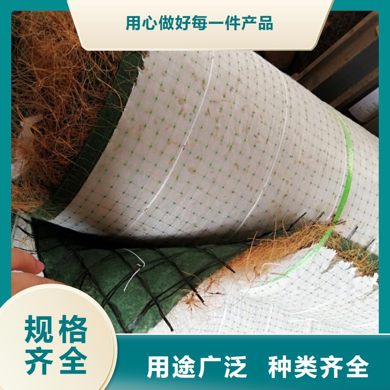 椰丝毯-蓄水板源厂供货