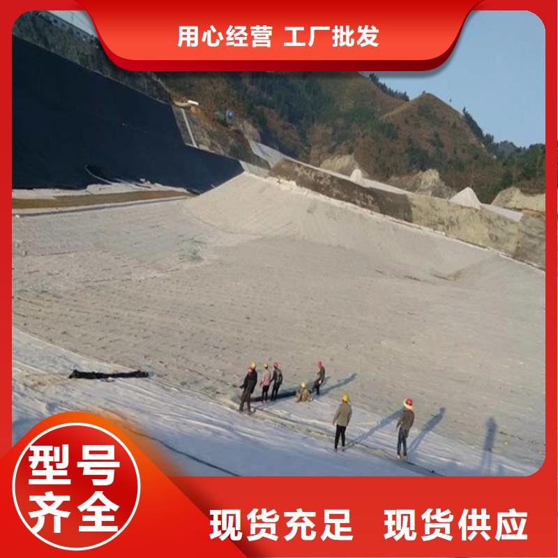 膨润土防水毯土工膜好厂家有担当