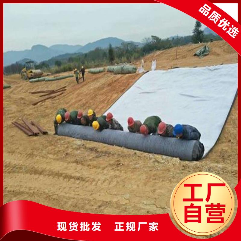 膨润土防水毯土工膜好厂家有担当