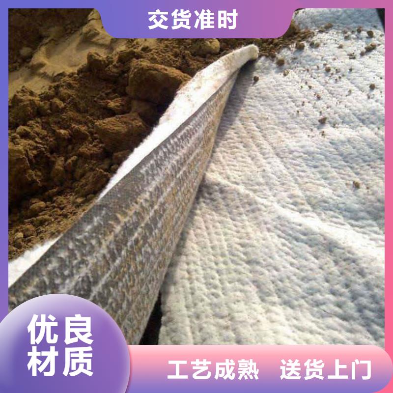 膨润土防水毯HDPE土工膜追求细节品质
