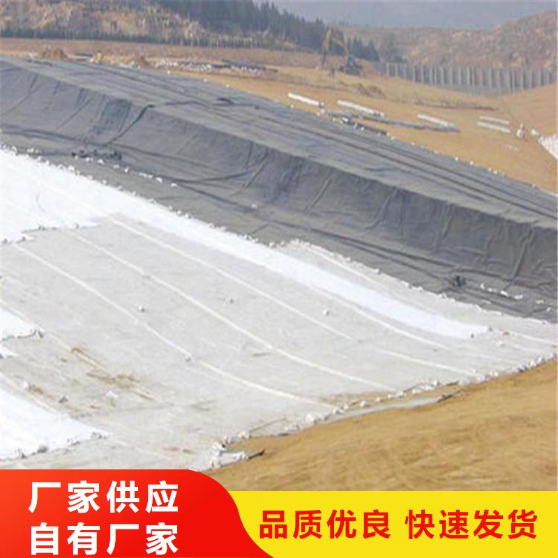 膨润土防水毯土工膜好厂家有担当