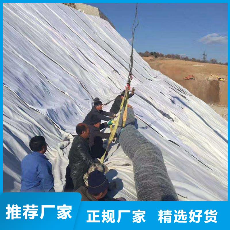 【 膨润土防水毯-防水板定制零售批发】|机织布-中齐建材(哈尔滨市分公司)