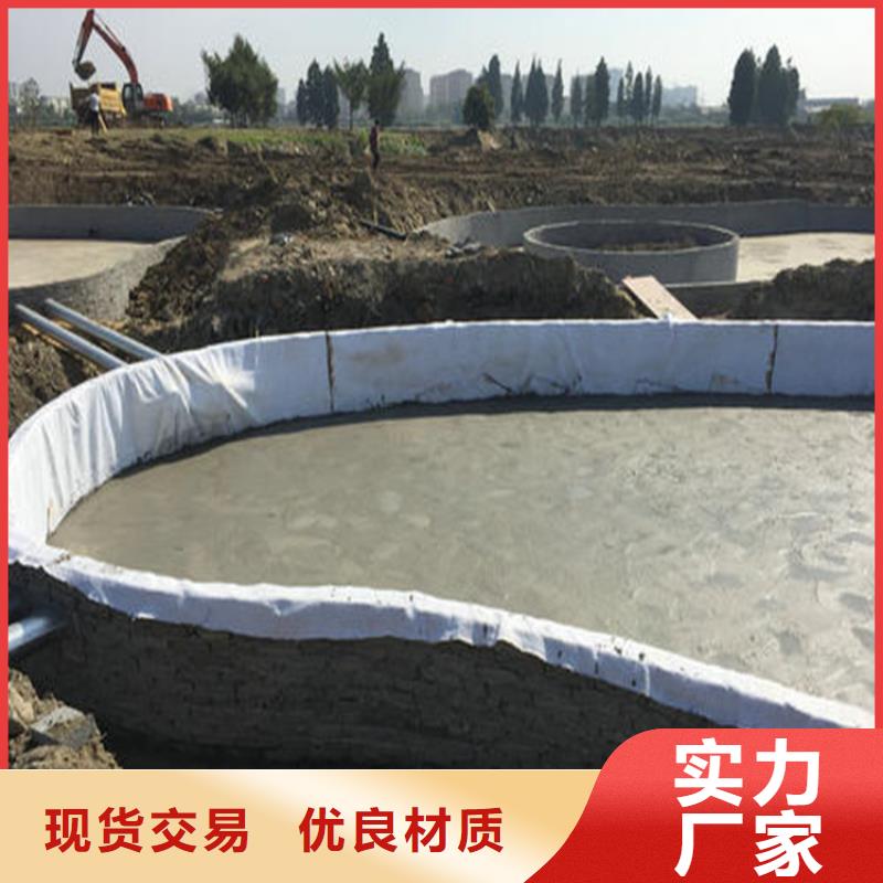 膨润土防水毯,钢塑土工格栅品牌企业