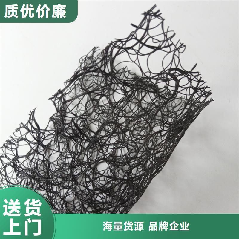 通风降噪丝网土工格栅厂家货源