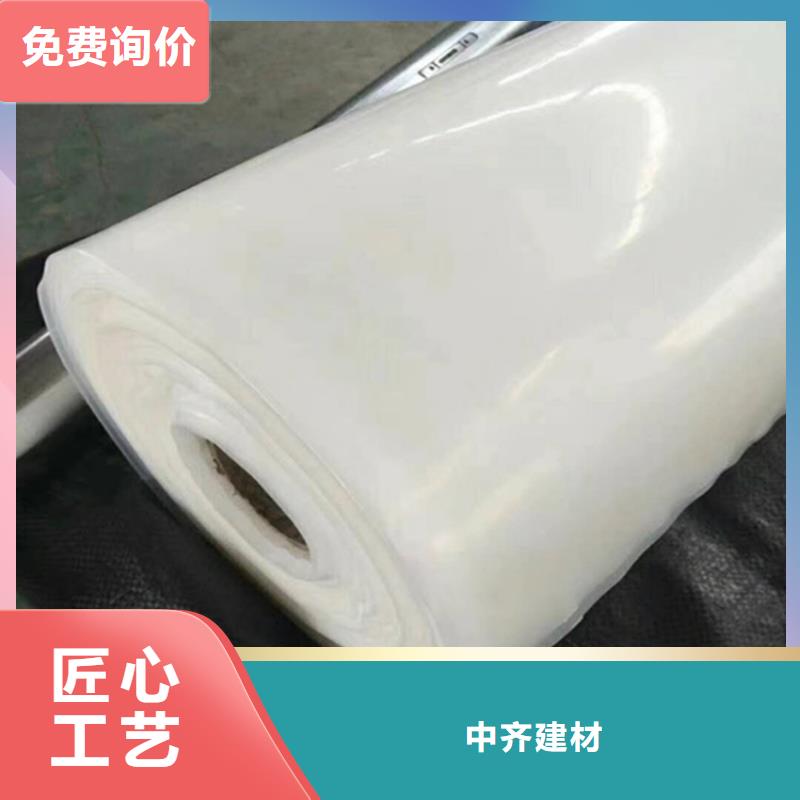 防水板土工膜现货满足大量采购