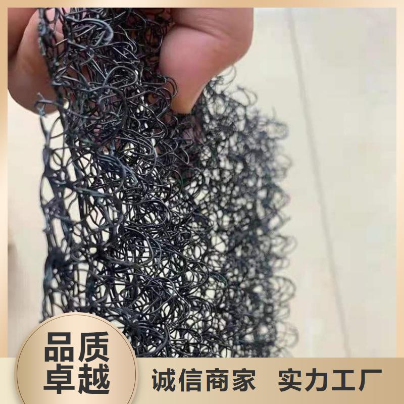 【水土保护毯】 土工格栅服务始终如一-中齐建材(金昌市分公司)